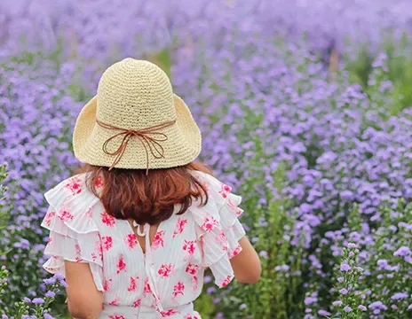 © thatinchan - stock.adobe.com